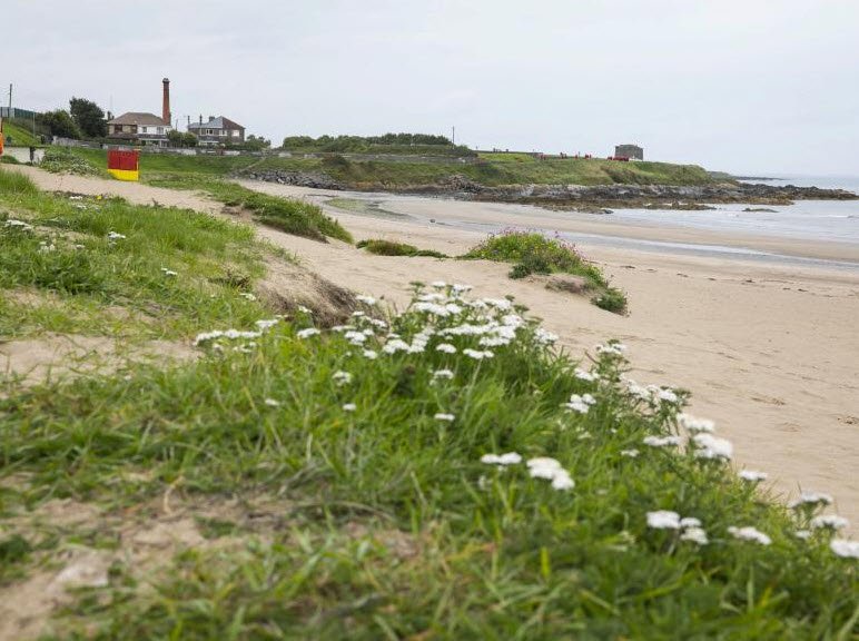 Balbriggan Beach , , Ireland